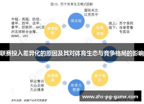 联赛投入差异化的原因及其对体育生态与竞争格局的影响