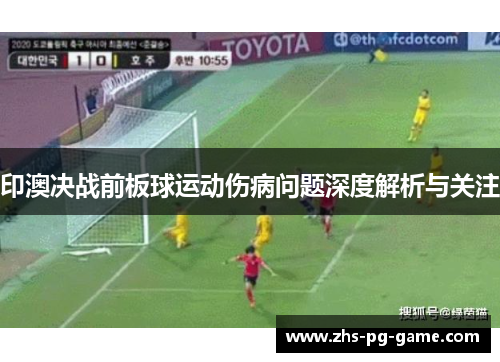 印澳决战前板球运动伤病问题深度解析与关注